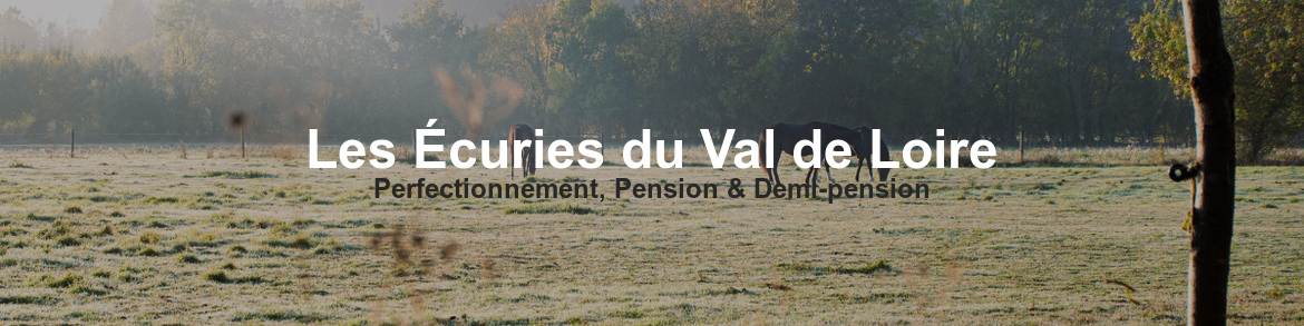 Les Écuries du Val de Loire